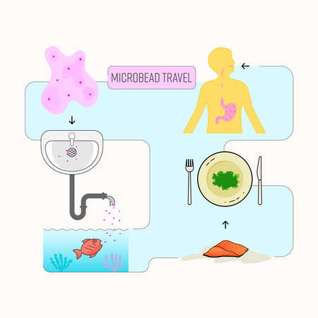 Microbead travel infographic. Microbead in cosmetic product can enter the food chain and harm human health. Vector illustration outline flat design style.のイラスト素材