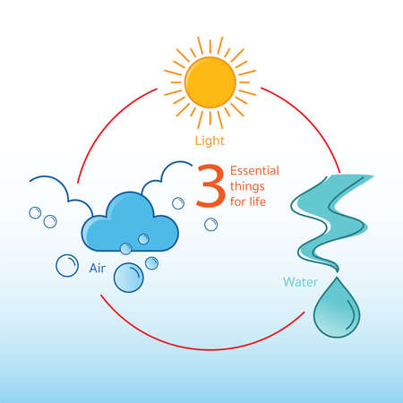 3 essential things for life infographic design. Air, water and light. Vector illustration outline...