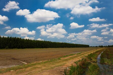 Touch Nature : Country road take me homeの写真素材