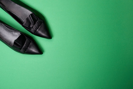 Fashionable black pointed-toe leather women's shoes with wrinkled and ruffle details in the upper left corner of a soft green background. Fashion blog or magazine concept.の写真素材