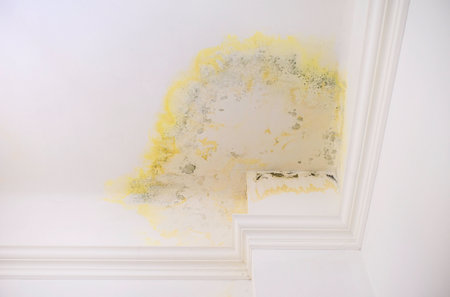 Ceiling by affected mildew damage. Flooding by neighbors. Unrepaired ceiling following a water leak. Promoting mold removal services.の写真素材