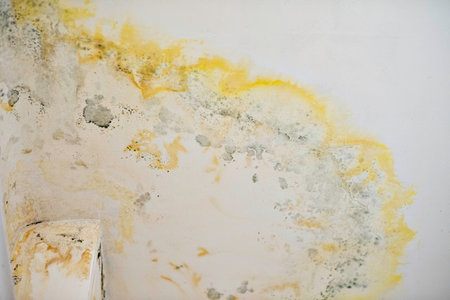 Smudged ceiling as consequences from water leaking from upstairs. Close-up capture of stains, mildew and peeled whitewash. insurance case. Flooding by neighborsの写真素材