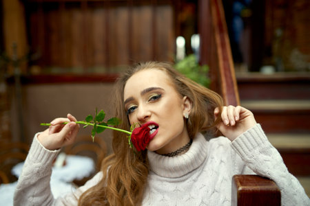 Young girl in a white sweater bites a gift rose trying to seduce her boyfriend in love on Valentine's Day. Biting red rose's petal. Funny romantic moments.の写真素材