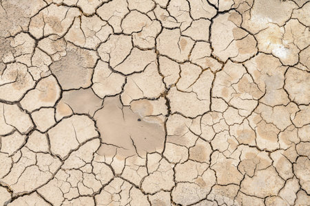 dry soil cracked earth textureの写真素材