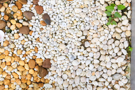 white pebbles background textureの写真素材