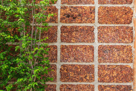fence Brick wall and green leafの写真素材