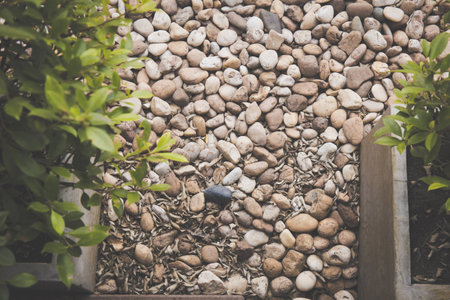 white ,gray ,orange pebbles background textureの写真素材