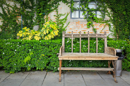 Garden Bench Made of wood at blick wall and green leafの写真素材