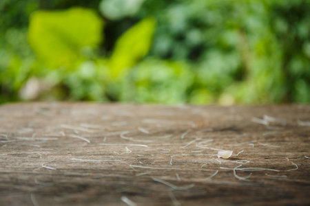 Wooden desk or wooden floor on green blurの写真素材