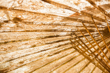 Bottom view of old umbrella backgroundの写真素材