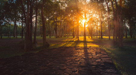 summer sunset and red stone floor in the forest in Thailandの写真素材