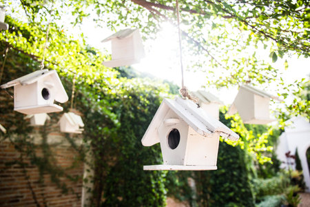 Bird House on tree in Autumn Fall Sunshine & green Leavesの写真素材