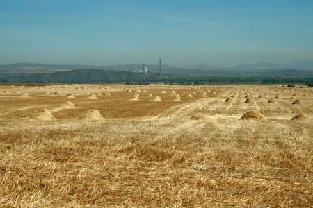 Field after the harvest. Please see some similar pictures from my portfolio: