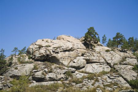 Green pines on the rock in East Kazakhstanの写真素材