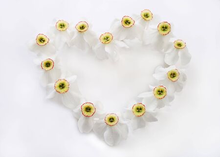Romantic heart from narcissus against the white backgroundの写真素材