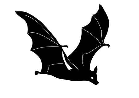 batのイラスト素材