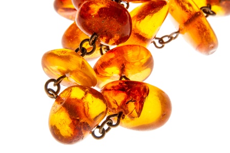 Amber on white backgroundの写真素材