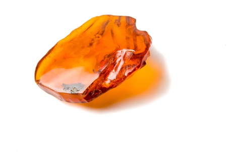 Amber on white backgroundの写真素材