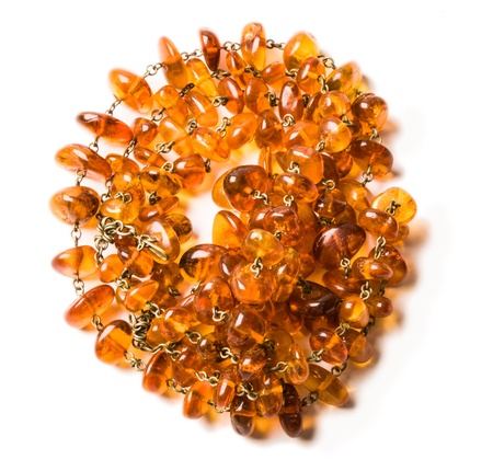 Amber on white backgroundの写真素材