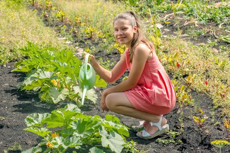 Cute girl watering plants in a gardenの写真素材