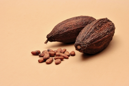 Cocoa beans on a brown background