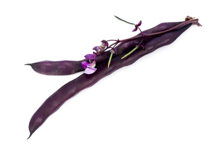 Red bean podsの写真素材