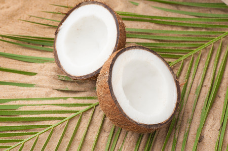 Coconut on tropical sand beachの写真素材