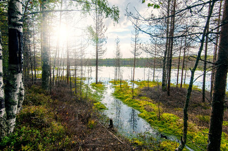 Autumn landscape with Salmon lake in Karelia, Russia