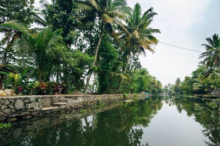 Backwaters in Alappuzha (Alleppey), Kerala state, Indiaの写真素材