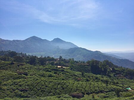 Trekking around Munnar, tea estate hills in Kerala, Idukki district, Indiaの写真素材