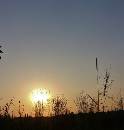 Sunset in Thailandの写真素材