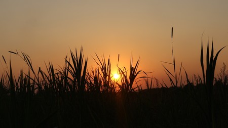 Sunset in Thailandの写真素材