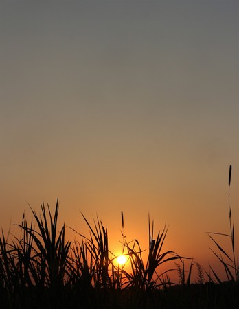 Sunset in Thailandの写真素材