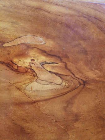 Wood grain picture from a teak treeの写真素材