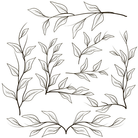 Vignettes from twigs and leaves for decoratingのイラスト素材