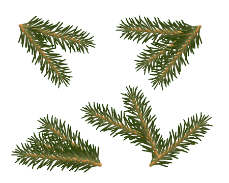 A set of Christmas tree branches for decoratingのイラスト素材