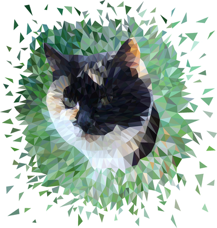 Cat in Low Poly design.のイラスト素材