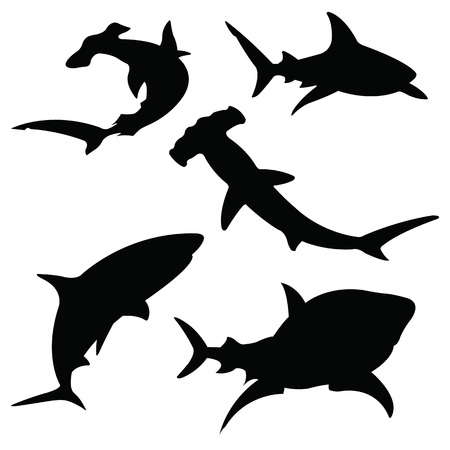 Shark vector silhouettes set. Sea fish, animal swimming, fauna illustration, isolated on whiteのイラスト素材