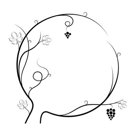 black vine with leaves and grape fruit on a white backgroundのイラスト素材