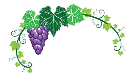 Vine leaves with grapes, colorful autumn borderのイラスト素材