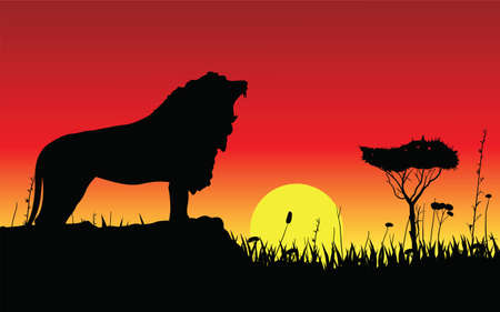 Vector illustration of black silhouette of a snarling lion on a rock. Against the background of the sunset in savannahのイラスト素材