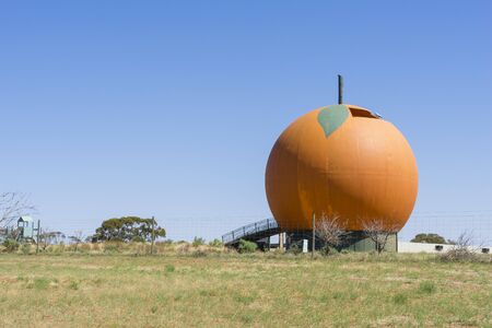 Berri, South Australia - January 12, 2019: Big Orange is 15 metres in height and a diameter of 12 metres plus one of the famous Big Things to be found in Australia.のeditorial素材