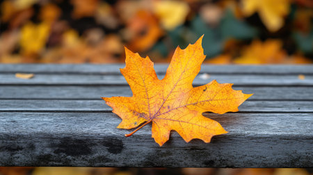 A close-up of an autumn leaf on a wooden bench with natural light highlighting its veins and textureの素材
