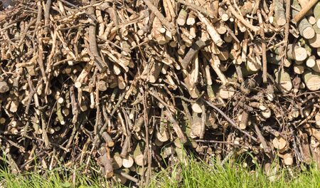 Brushwood logs stack bunchの写真素材