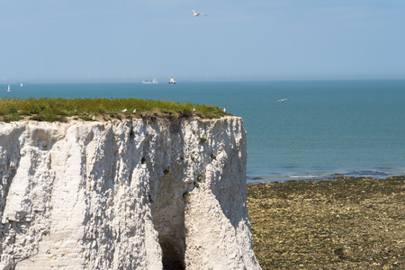White cliffs close upの写真素材