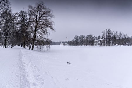 A winter view of Chesme Columnのeditorial素材