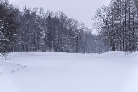 Pond on a winter morning in Catherines Park, Pushkinの写真素材