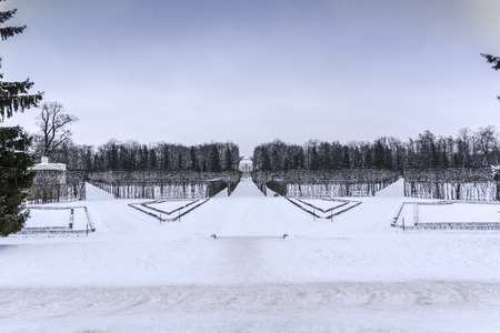 A view of Catherine park covered in snow, Pushkin, Russiaの写真素材