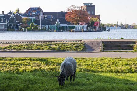 Old dutch houses in old dutch village, holland the netherlands.の写真素材