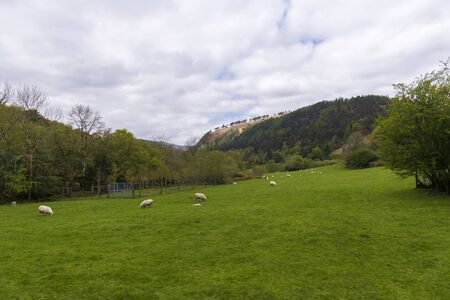 Monastic cemetery of Glendalough, Ireland. Famous ancient monastery in the wicklow mountains with a beautiful graveyard from the 11th centuryの写真素材